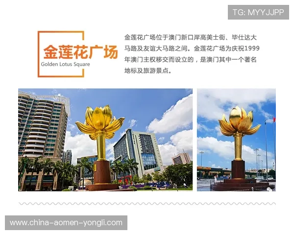 中国澳门网官网首页展示澳门文化历史与娱乐休闲项目丰富内容一站式了解