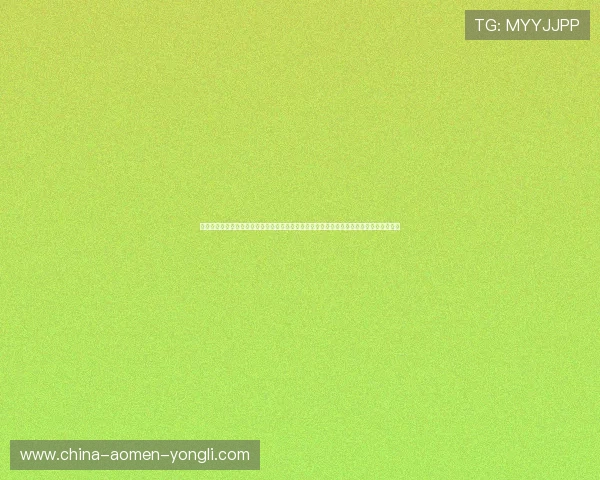 澳门真人官方网站全面升级，确保玩家信息安全与隐私保护，打造值得信赖的线上博彩环境